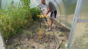 Сажаем огурцы осенью. Наш огород на Кубани.