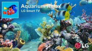 Aquarium Relax