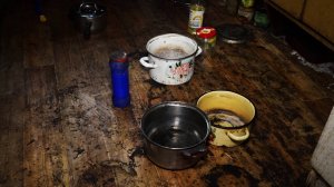 ЖИЗНЬ В МУКАХ