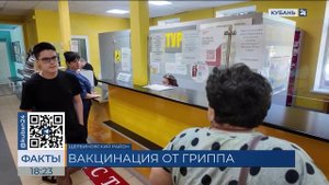 Врачи Кубани советуют жителям сделать прививку от гриппа в начале сентября