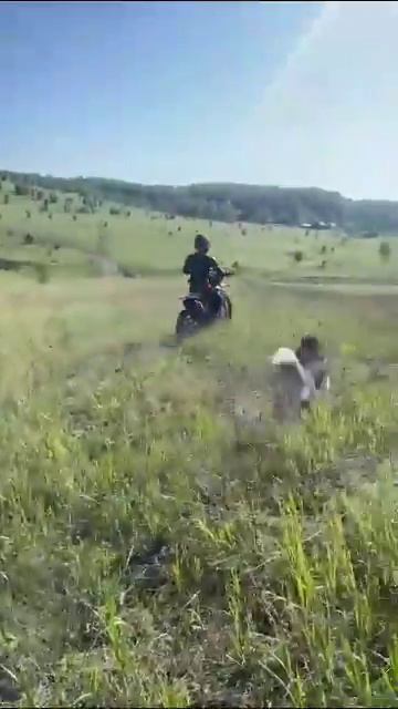 Отзыв на мотоцикл Sharmax Motors Power max 280 смотреть онлайн