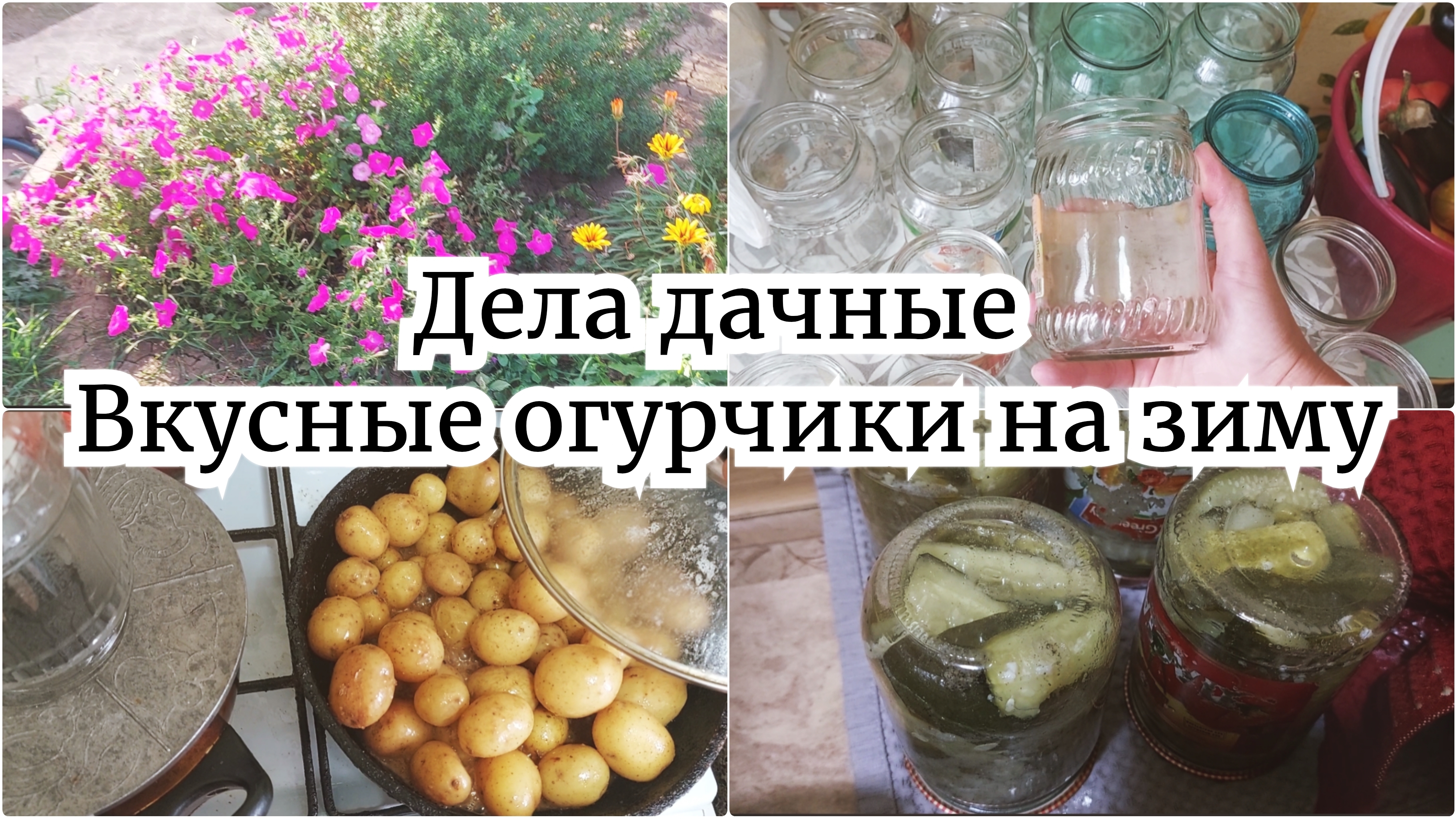 КАК ДЕЛА НА ДАЧЕ 🔥 ОГУРЦЫ В ГОРЧИЧНОЙ ЗАЛИВКЕ / ГОТОВИМ СВОЙ КАРТОФЕЛЬ