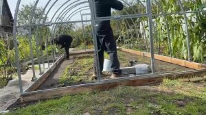 Сборка теплицы. Установка каркаса.