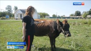 Жительница Прохоровского района заключила соцконтракт на производство домашней молочной продукции