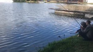 поимка карпа на поплавочную снасть