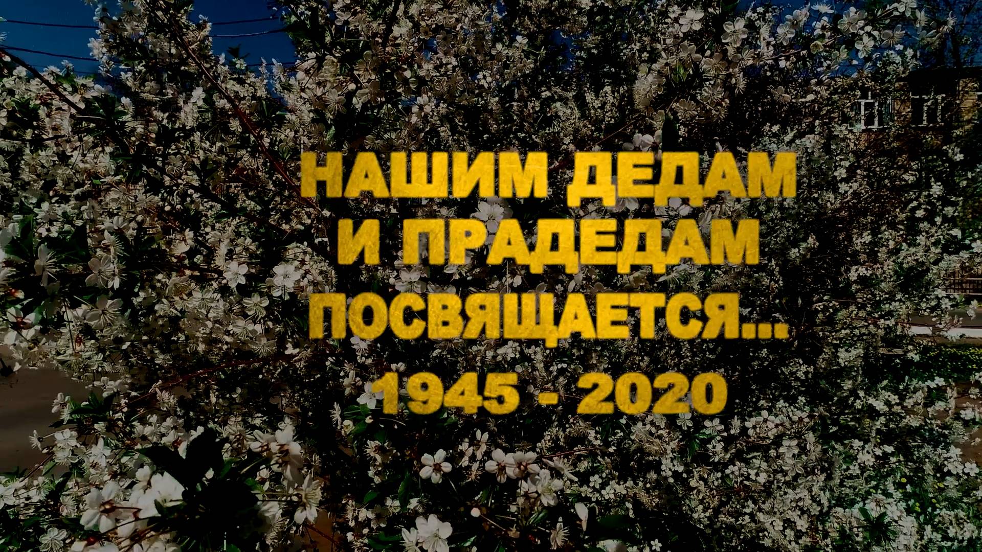 СПАСЁННАЯ ВЕСНА клип МОАУ Лицей 1 г.Оренбург 2020г.