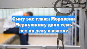Сыну экс-главы Мордовии Меркушкину дали семь лет по делу о взятке