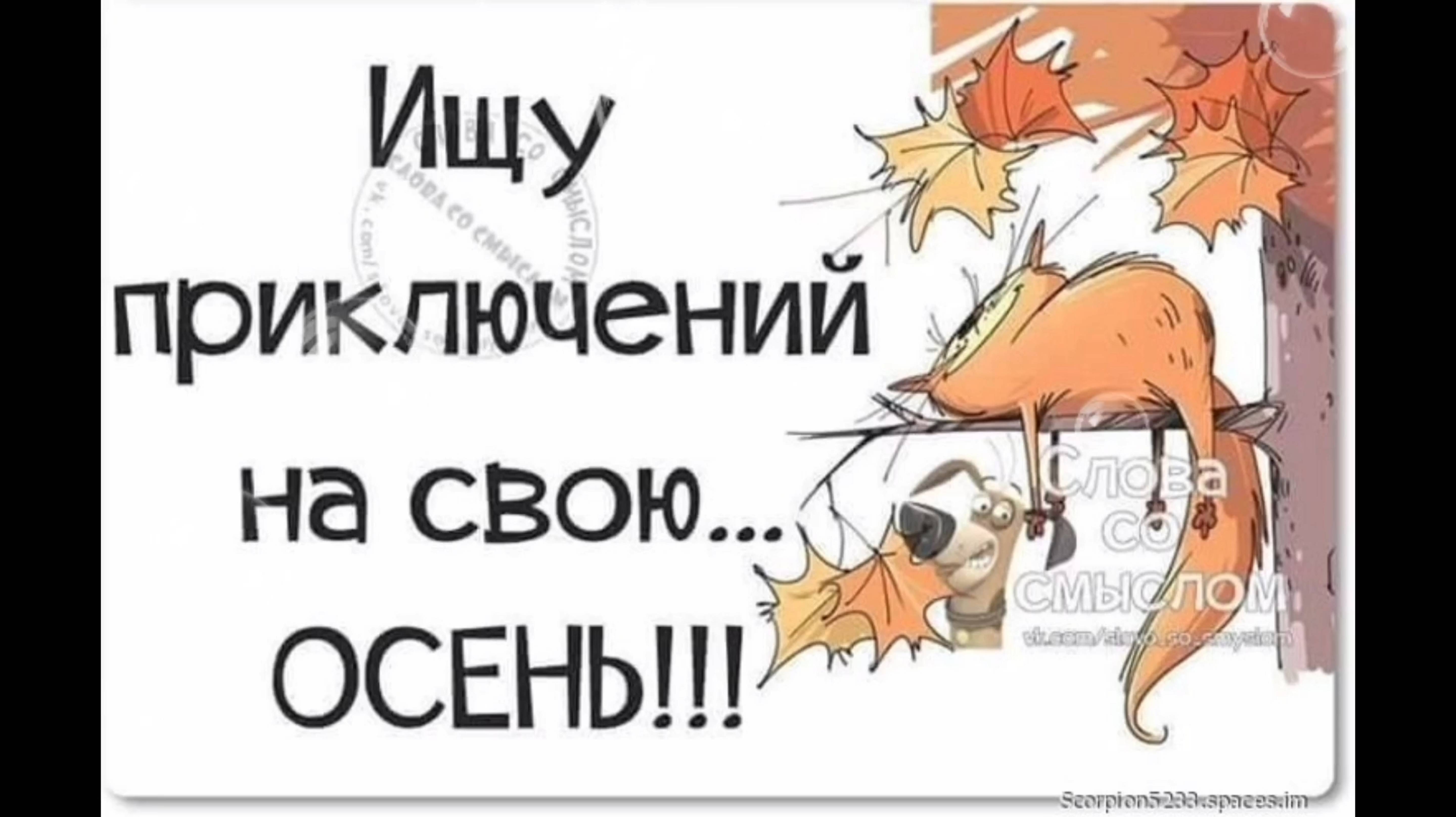 ИЩУ ПРИКЛЮЧЕНИЙ НА СВОЮ ОСЕНЬ🍁🍂🍃