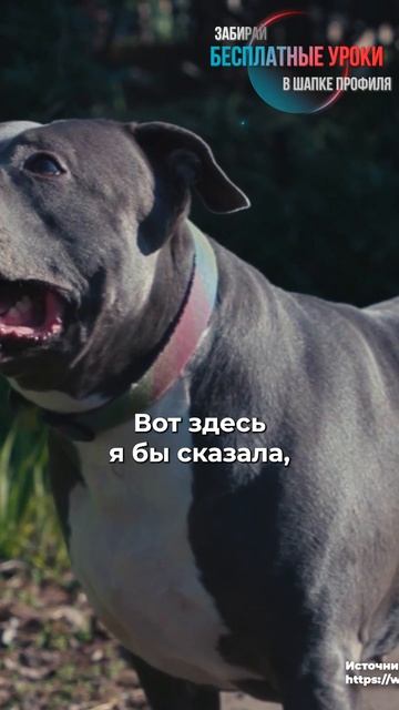 🎁Бесплатные уроки. Жми сюда! смотреть онлайн