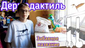 Дермодактиль — опять «ругательное» название?