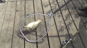 "Рыбацкие байки" 05.09.2025