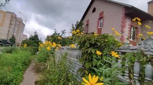 Вот и осень/Лечу головокружение/Готовлю и делаю заготовки впрок