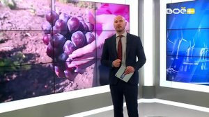 Новости на Своём от 5 сентября 2025г. 15:30