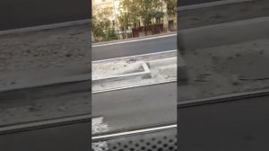 Поездки в общественном транспорте | 5-сен-2025, 2