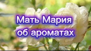 Мать Мария об ароматах 27.05.2025г  (36 Послание)