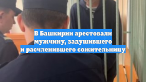 В Башкирии арестовали мужчину, задушившего и расчленившего сожительницу