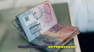 Что такое виза и что означает для россиян введение безвизового режима с Китаем