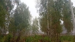 1000004816.mp4 Утренний туман