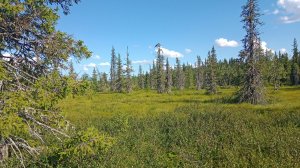 Сплав по реке Цильма или Затерянный Мир. Часть 5: Печорский Тракт от Старой Валсы до Сенки.