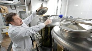 В Минпромторге отметили развитие собственного производства пива в России