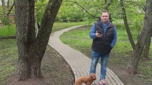 Битва людей и собак