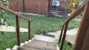 СОЧИ. ГОРНОЕ ЛОО УТРО 05.09.2025