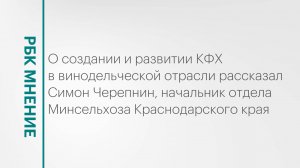 Бум развития КФХ в винодельческой отрасли Кубани|| РБК Мнение