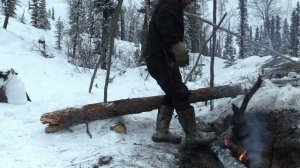 В изоляции 11 сезон 11 серия «Крах» (документальный сериал, 2024)