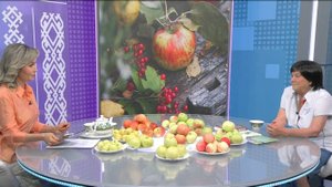 Хәйерле иртә, Республика! - 05.09.2025 Баҡсасылар миҙгел яба