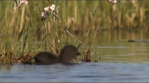 Природа_Часть1