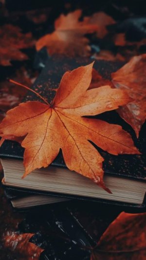 Добрый вечер и спокойной ночи!