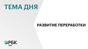 В 2024 г. объём отгруженных пищевых продуктов в Сибае составил около ₽910 млн