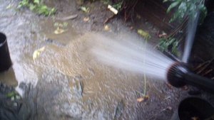 Полив саженцев ОКС