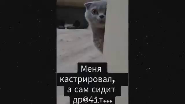 Приколы 2025 #072
