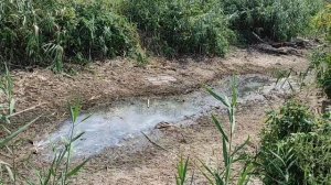 2-3 сентября 2025