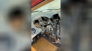 Best video of Tik Tok! 05.09.25 / 02