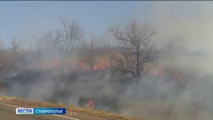 Рядом с электростанцией в Невинномысске произошёл пожар