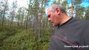 Погуляли,половили и домой.