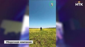 В Калмыкии продолжается уборочная кампания масличных культур