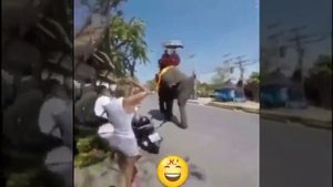 ВИДЕО ПРИКОЛЫ СМОТРЕТЬ ОНЛАЙН БЕСПЛАТНО / БЕСПЛАТНЫЕ ВИДЕО ПРИКОЛЫ ОНЛАЙН