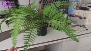 Клею панели/Покупаю красоту/Новые наборы для вышивки