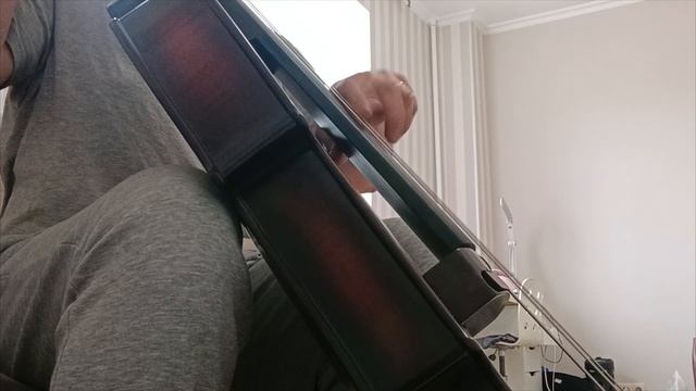 Электроконтрабас Landscape SWB-ARTIST AVC
Made in Japan смотреть онлайн