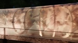 Что посмотреть в Краснодаре? Парк Галицкого в Краснодаре - арт искусственная среда из белой сетки