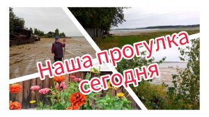 Наша прогулка сегодня