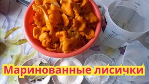Как заготовить,очень вкусные маринованные лисички.Рецепт проверенный годами.