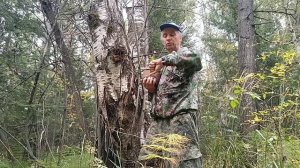 Что я беру с собой в лес.