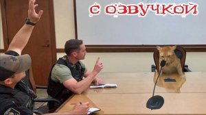 Приколы с животными😸🤗Смешные видео с озвучкой Наши любимые смешные животные!