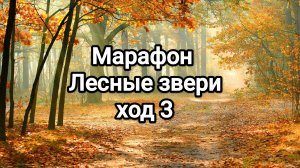 Марафон Лесные звери , ход 3