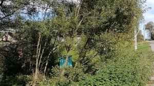 5.09.2025.Усадьба Парк Кино Ляхово. Парк Сибирских Кошек. Домодедово. Планы.Часть 3. Обзор проводимы