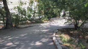 Не надо стесняться 😁(30.08.09)